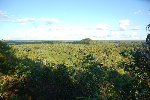 El Mirador